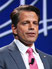 Anthony Scaramucci photo