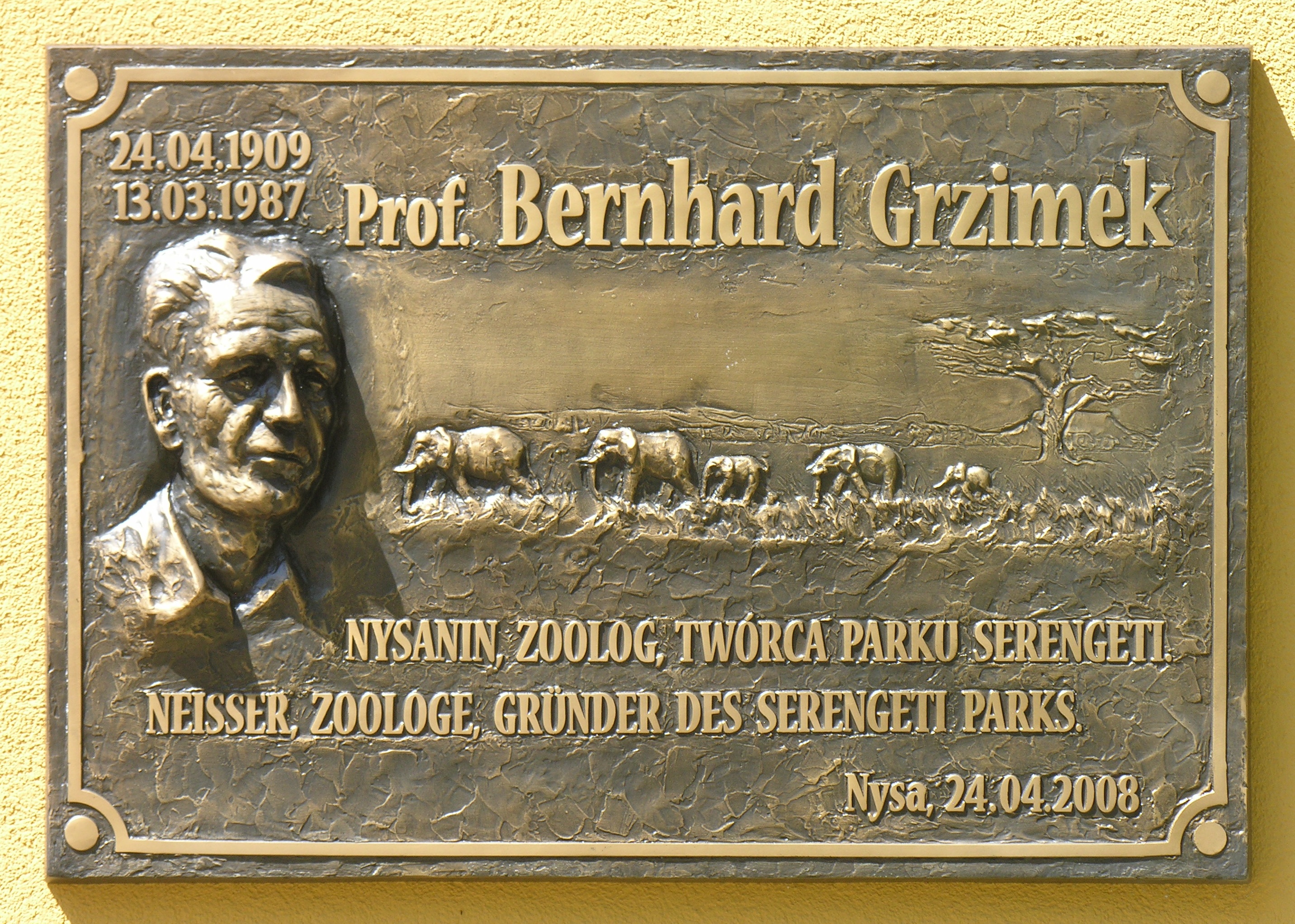 Bernhard Grzimek Fotografia