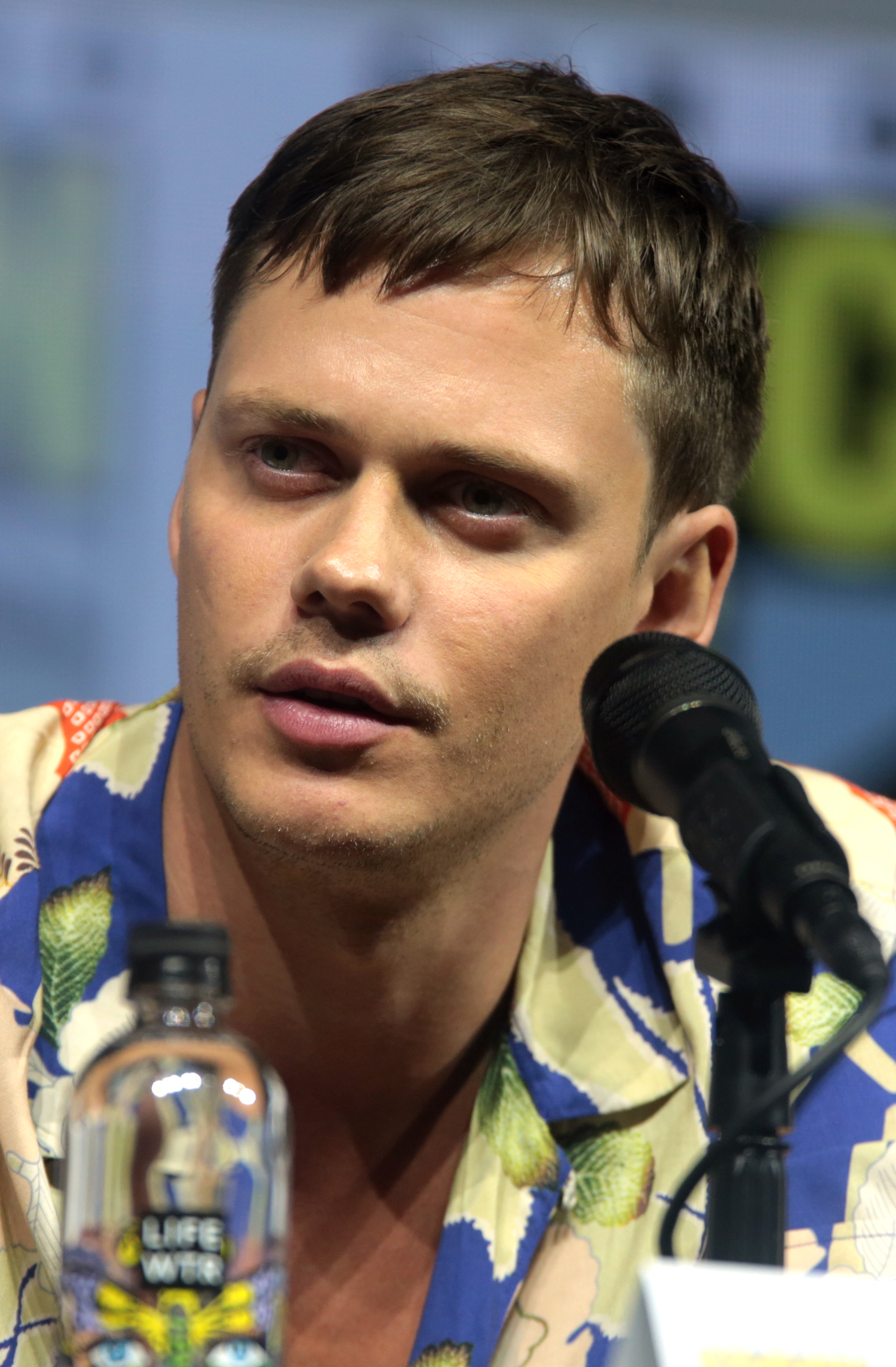 Bill Skarsgård photo