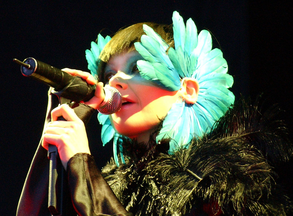Björk Fotografia