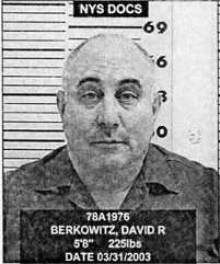 David Berkowitz Fotografia