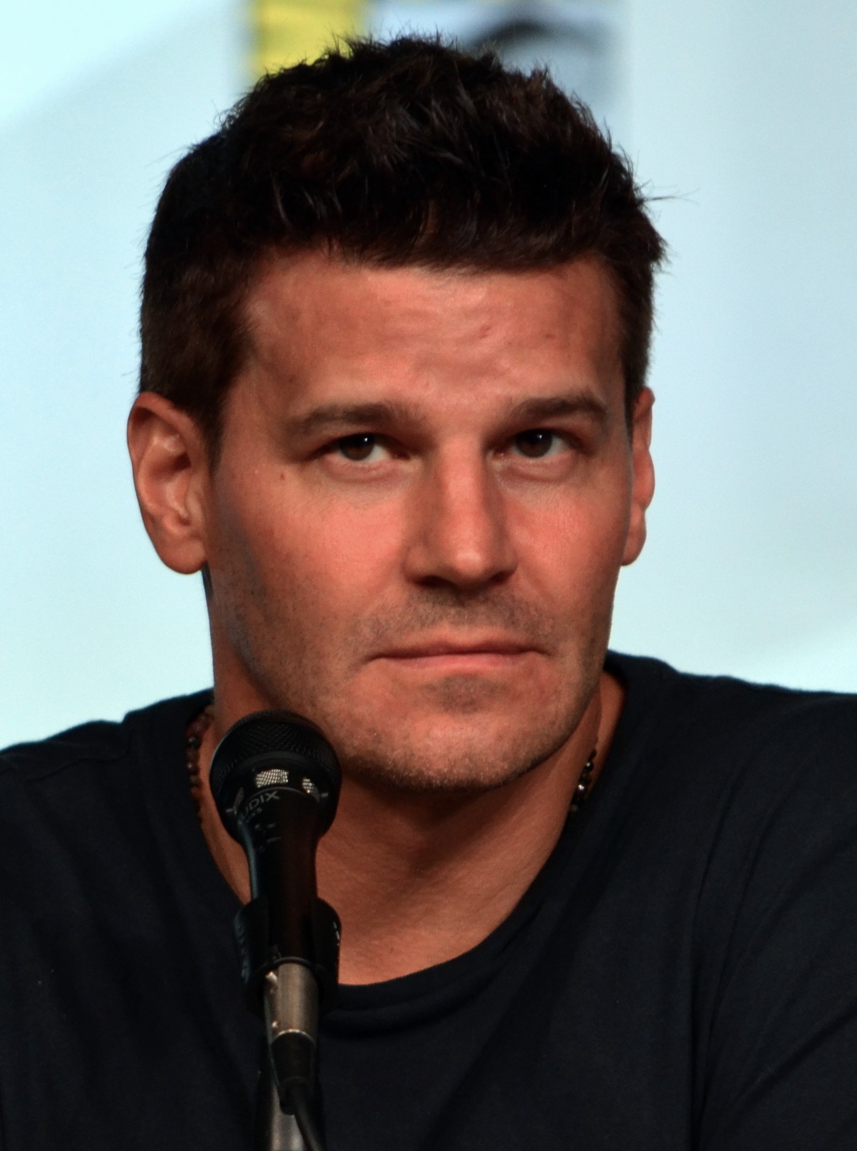 David Boreanaz Fotografia