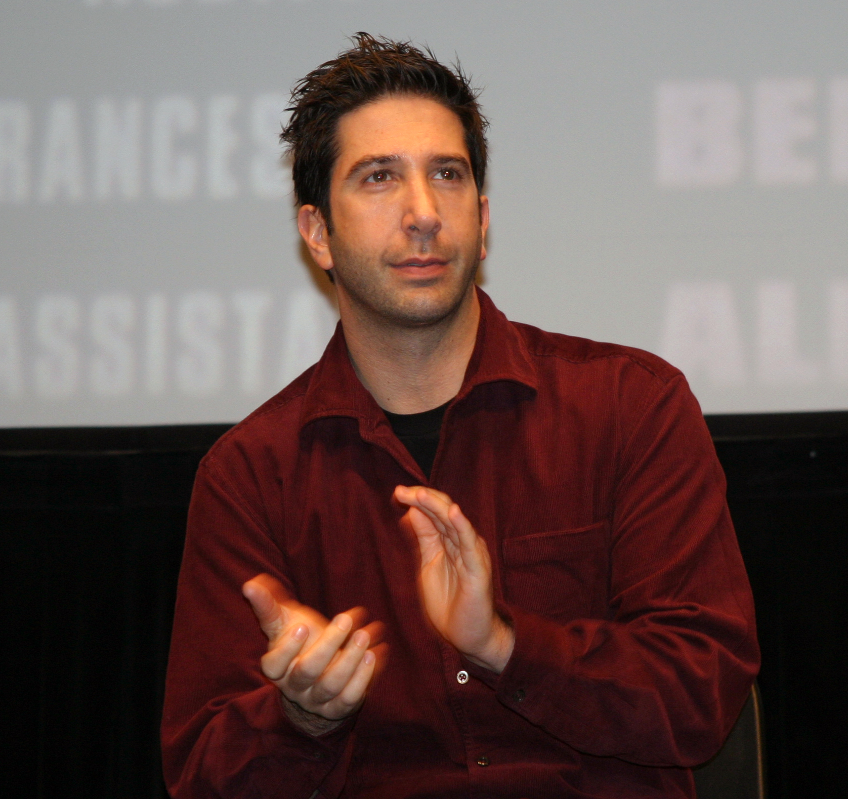 David Schwimmer Fotografia