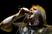 George Fisher (musician) photo