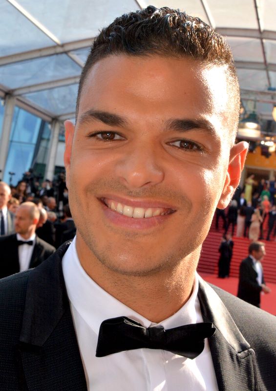 Hatem Ben Arfa photo