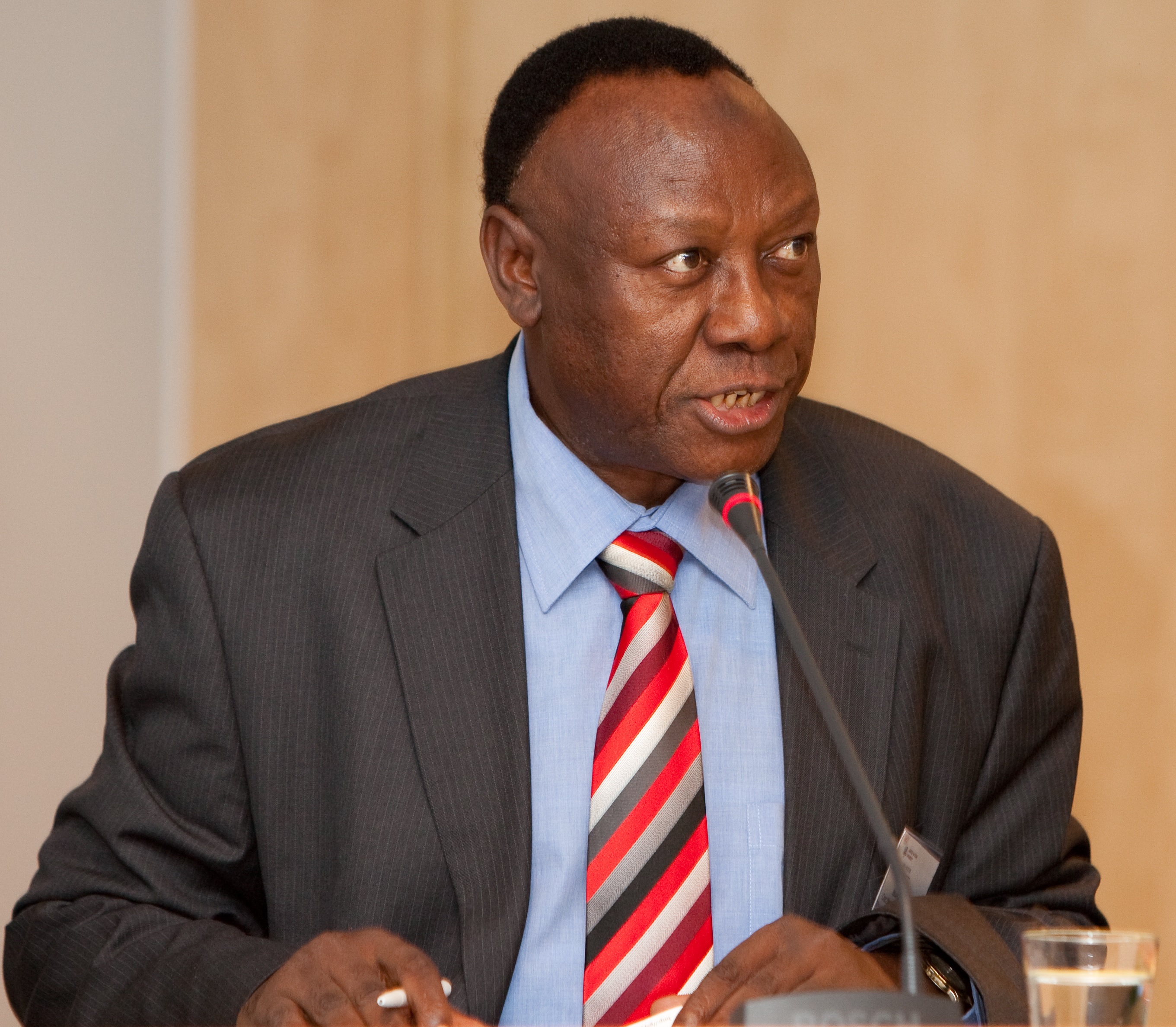 Ibrahim Lipumba photo