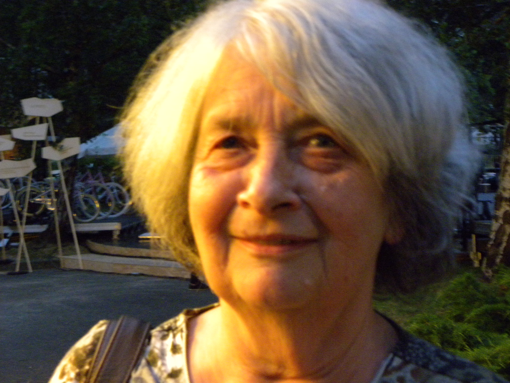 Isabelle Stengers photo