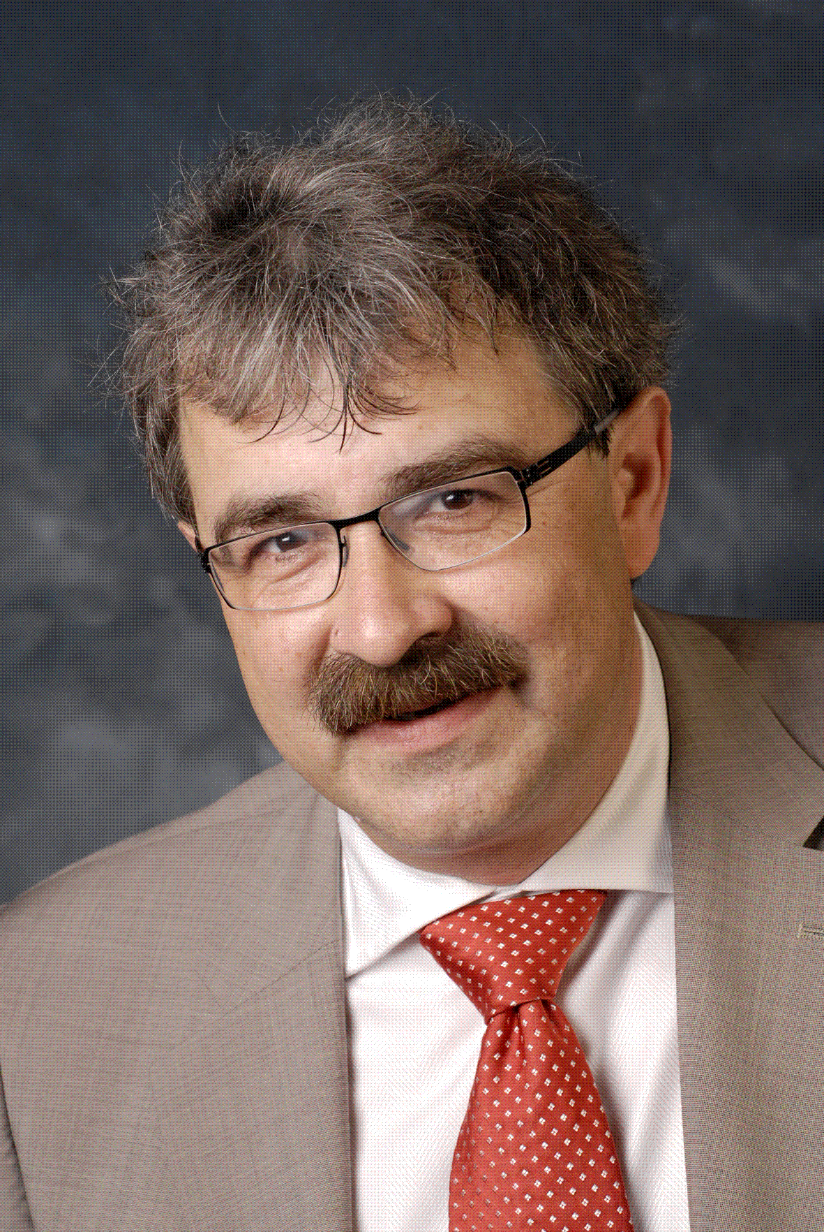 Jan Zaanen photo