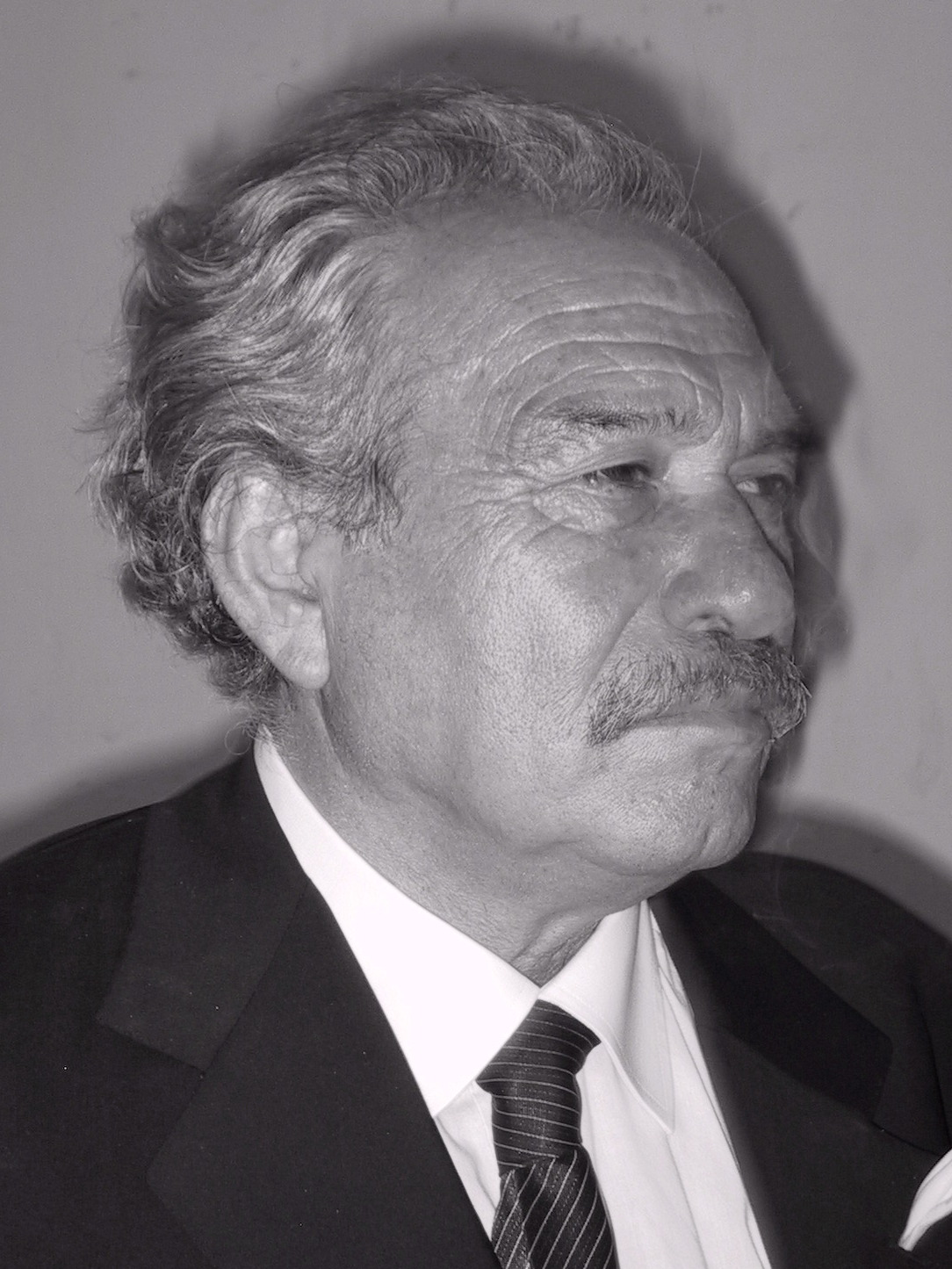 Jannis Kounellis photo