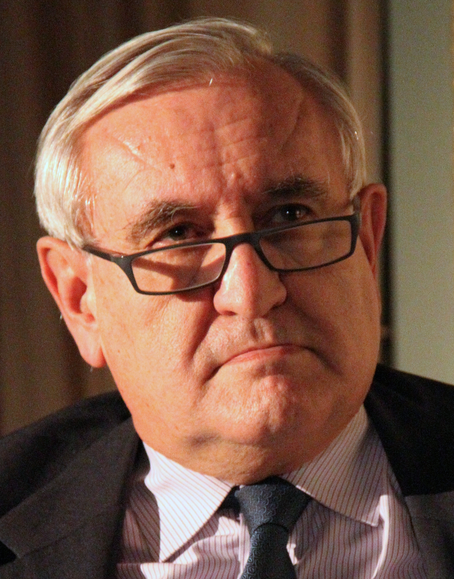 Jean-Pierre Raffarin Fotografia