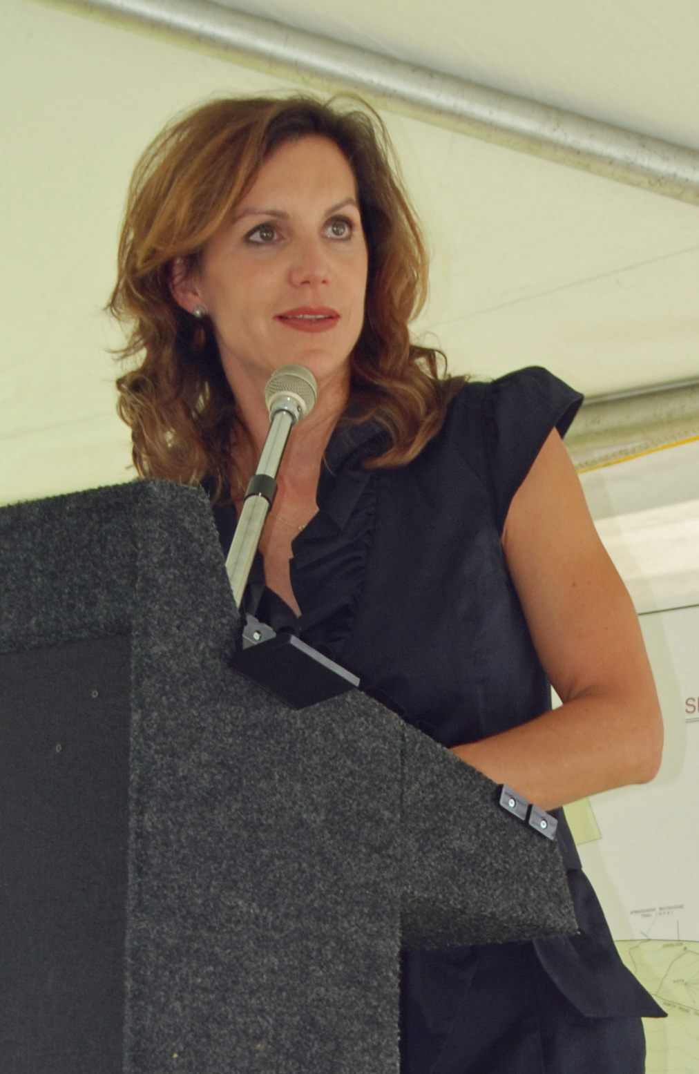 Jill Vogel photo