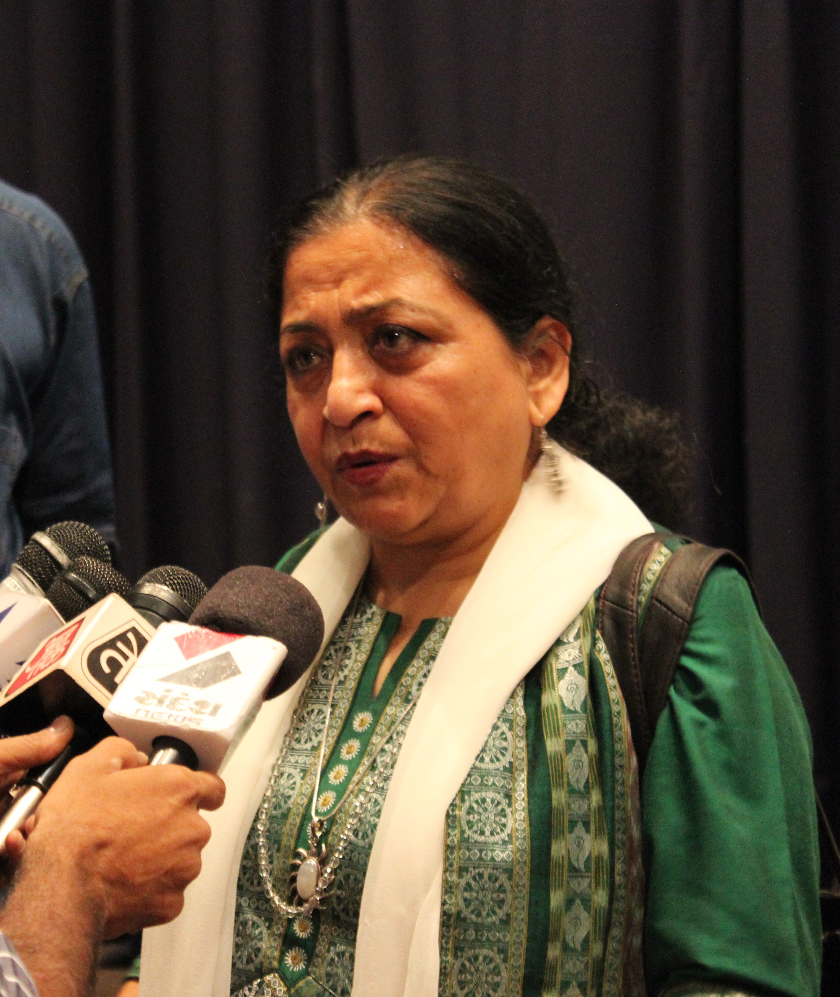 Madhu Kishwar photo