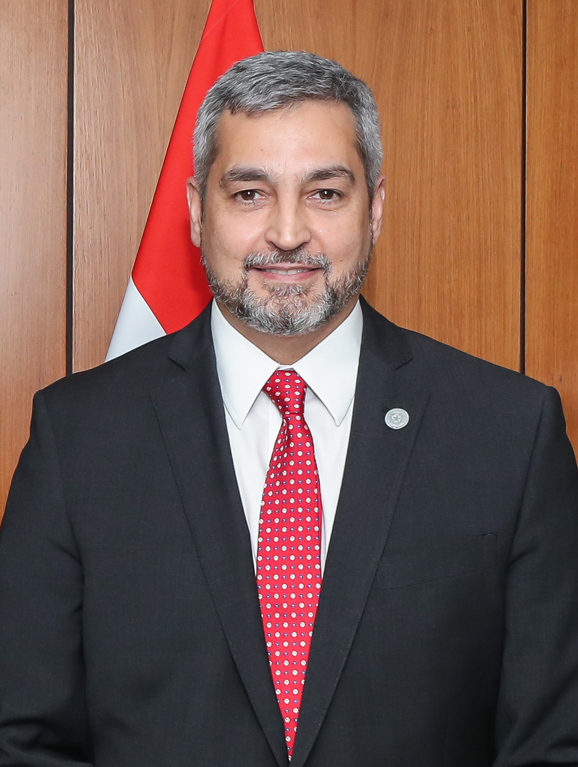 Mario Abdo Benítez photo