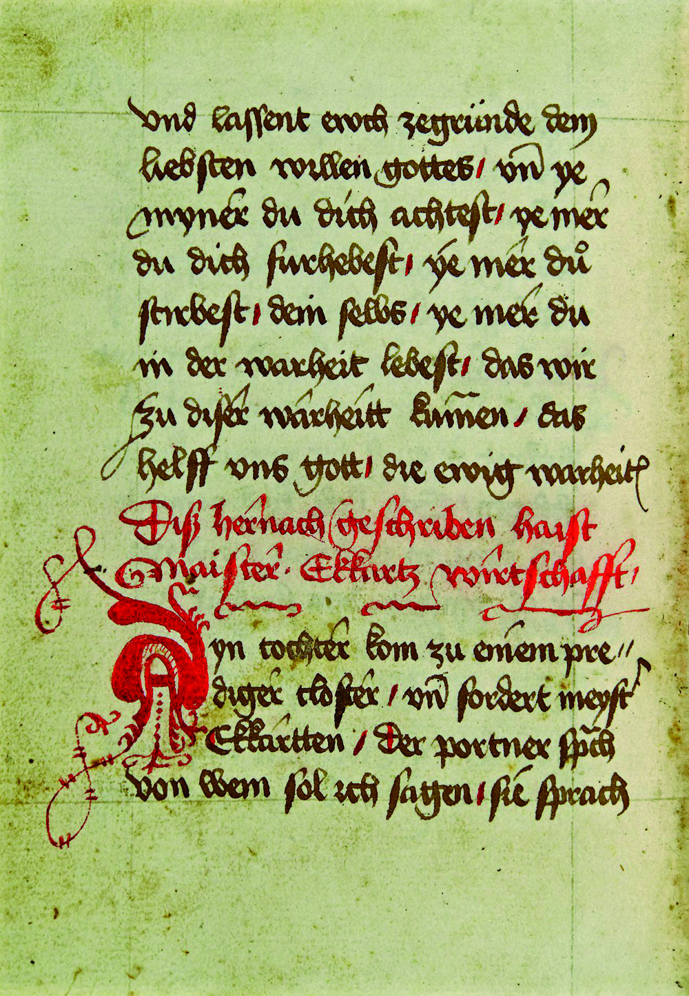 Meister Eckhart photo