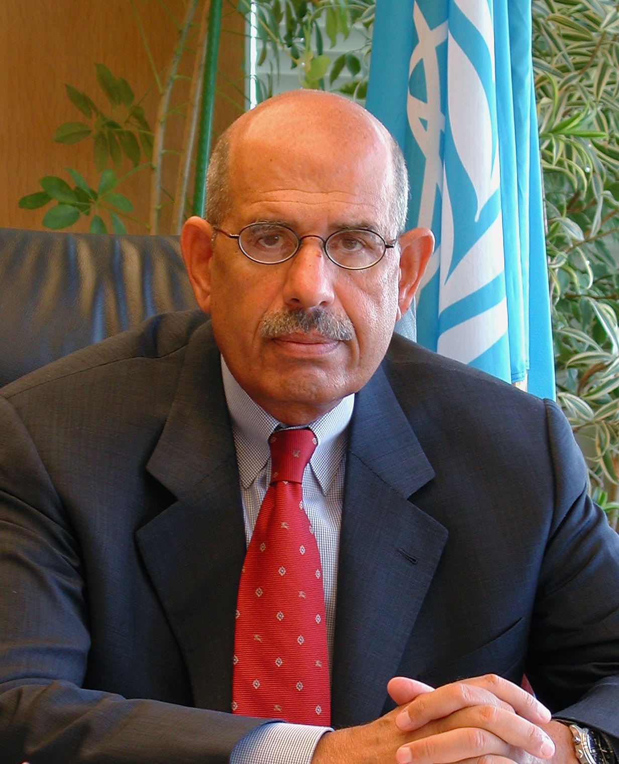 Muhammad el-Baradei Fotografia