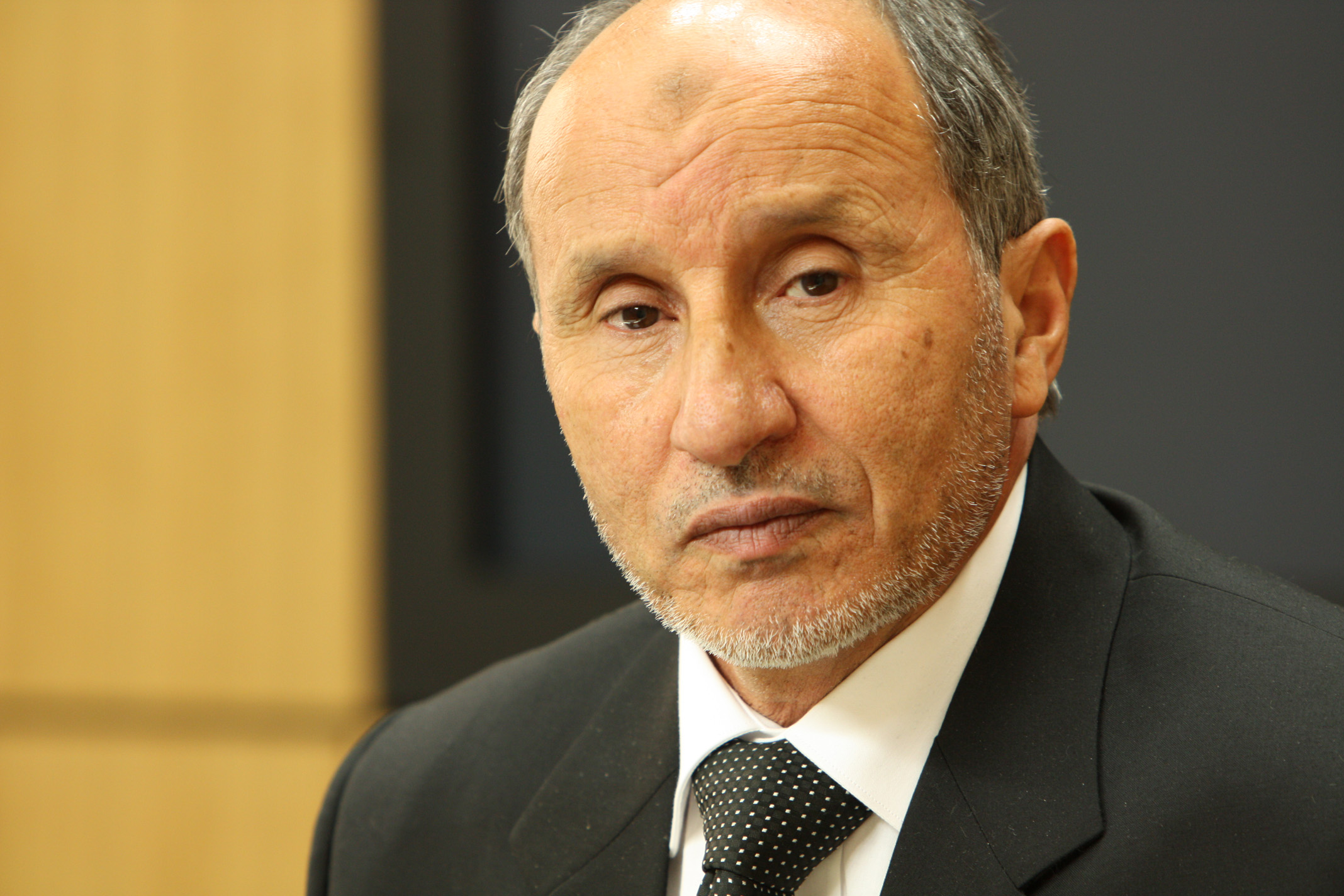 Musztafa Abd el-Dzsalíl fénykép