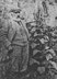 William Logan (author) photo
