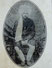 Pandit Lekh Ram photo