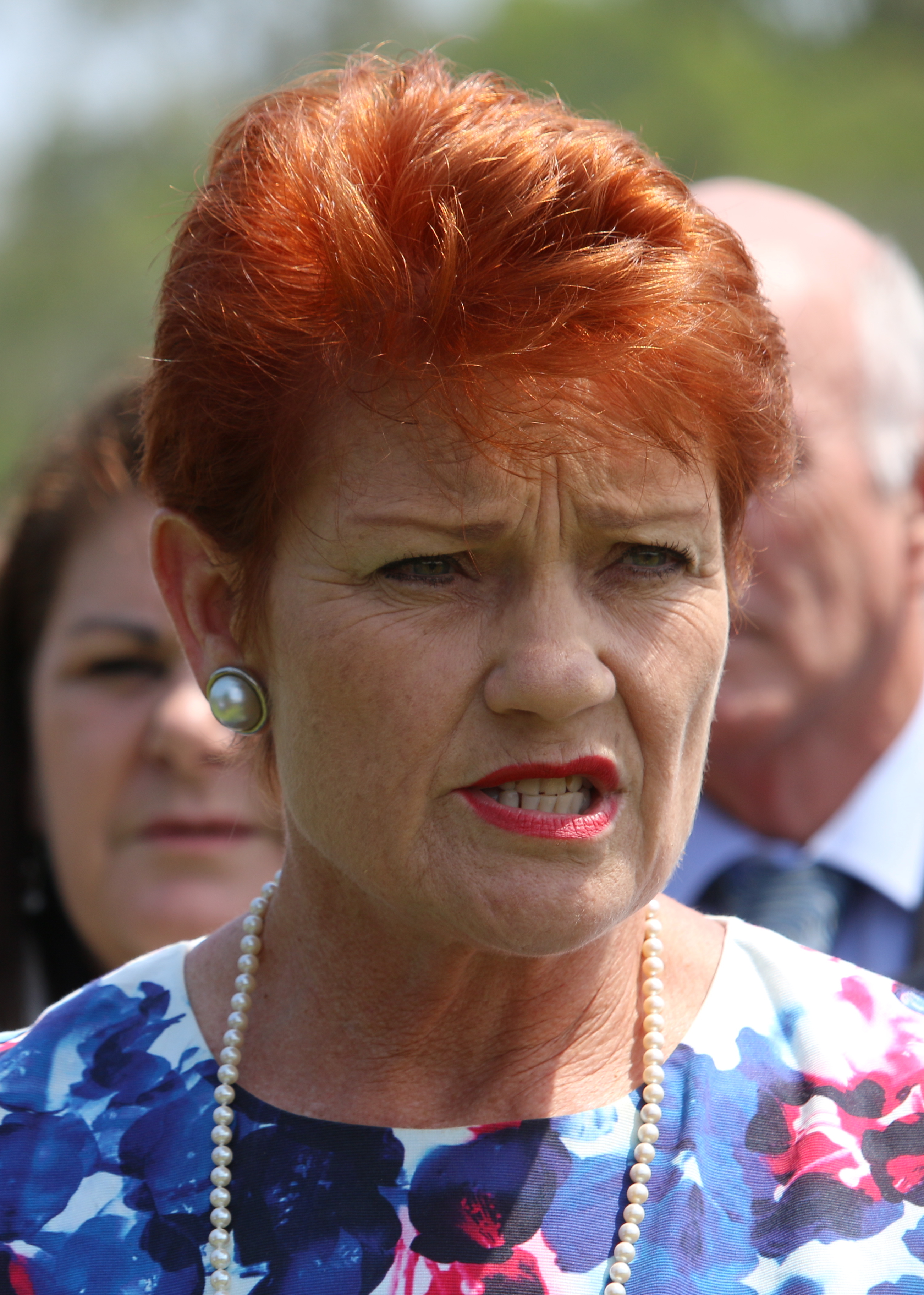 Pauline Hanson photo