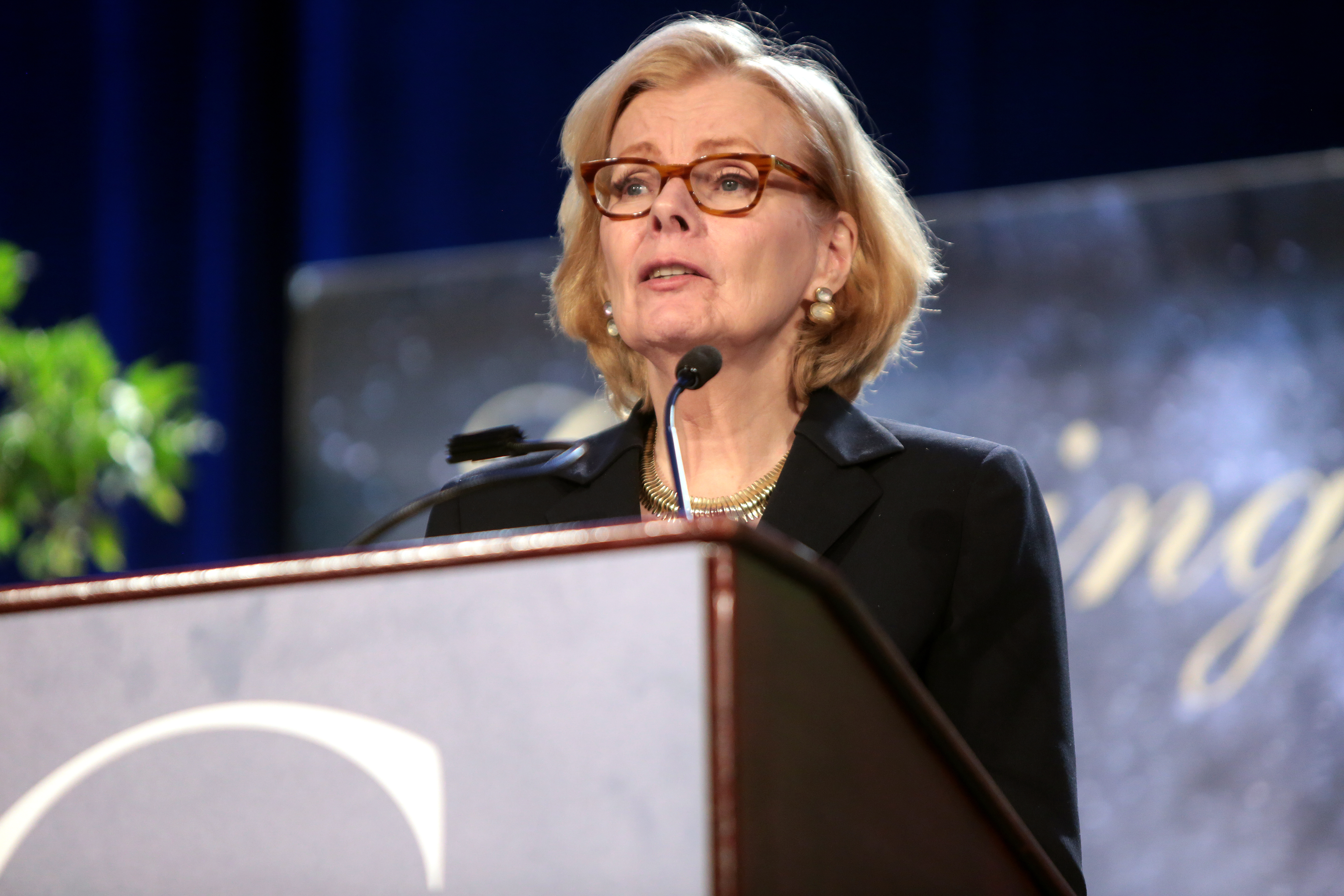 Peggy Noonan photo