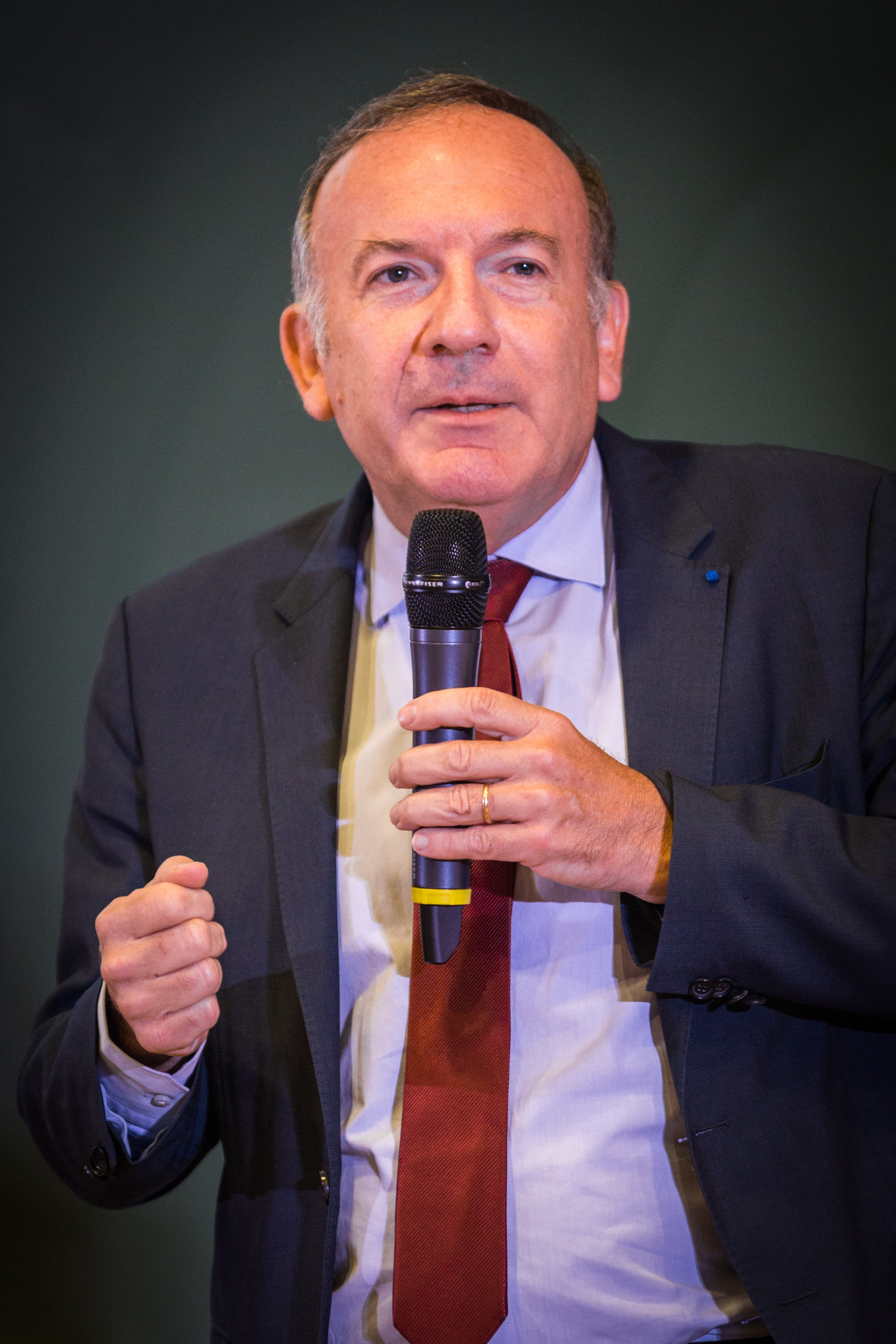 Pierre Gattaz photo