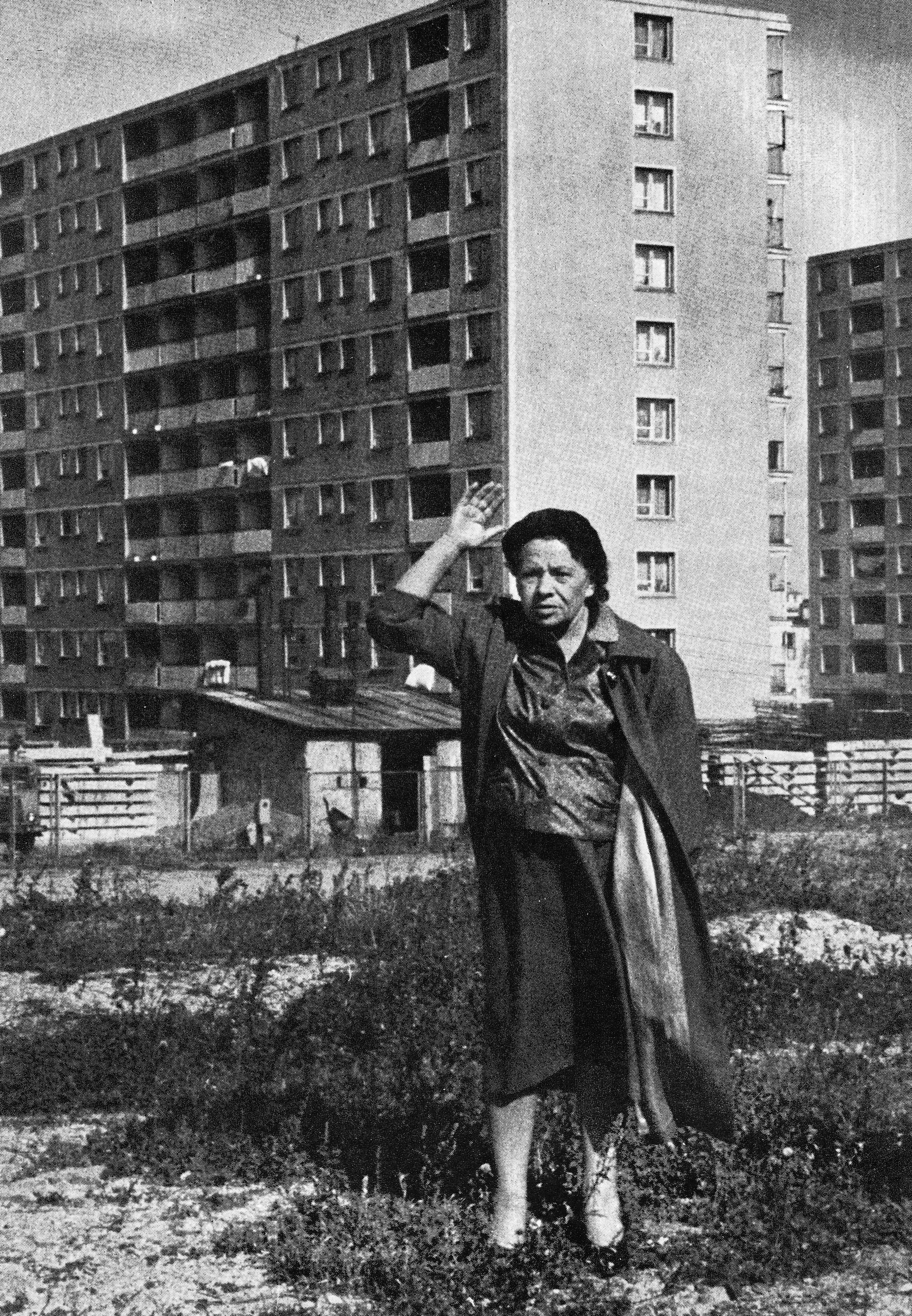 Pola Gojawiczyńska Fotografia
