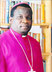 Robert Ndlovu photo