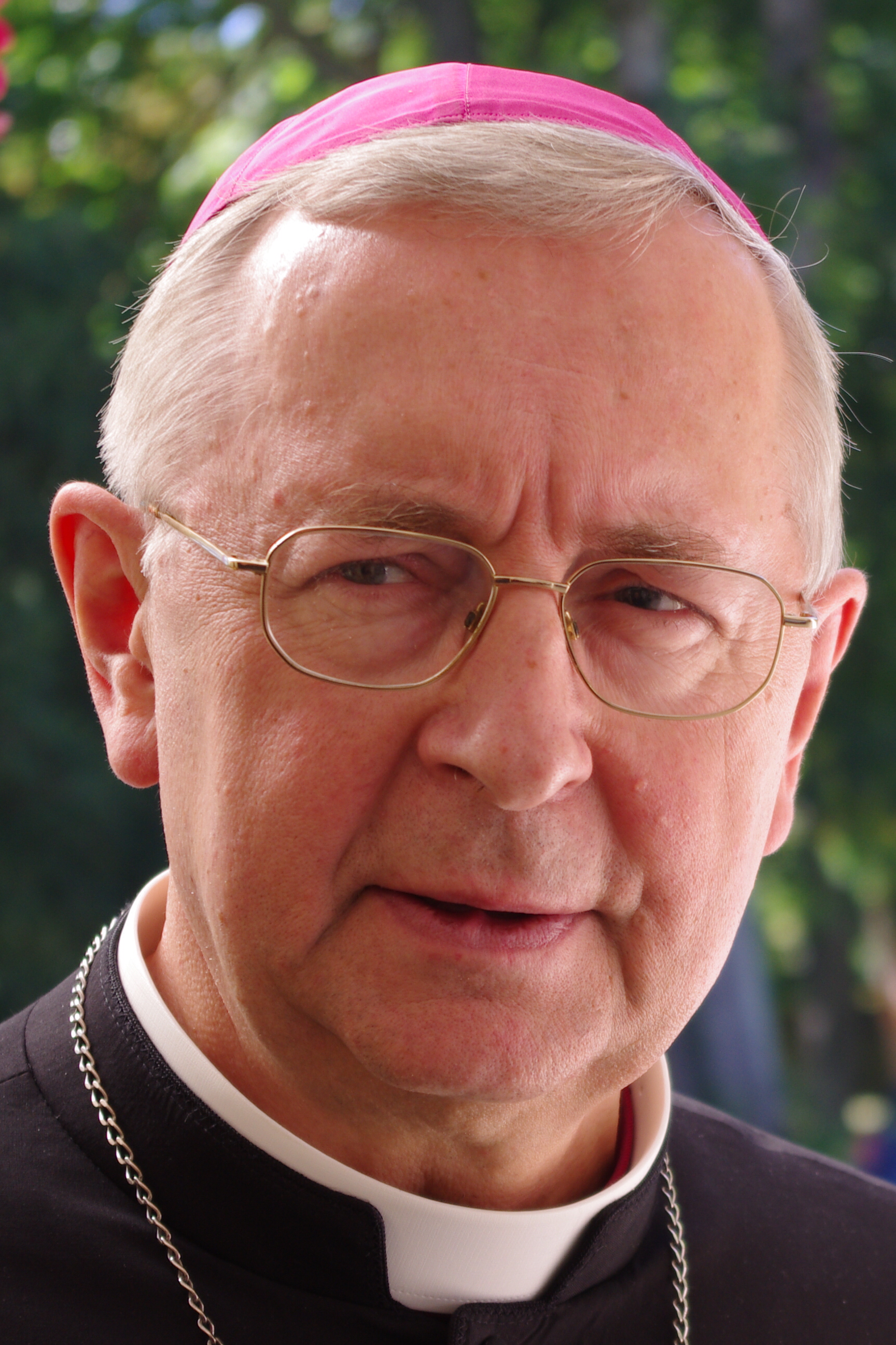 Stanisław Gądecki Fotografia
