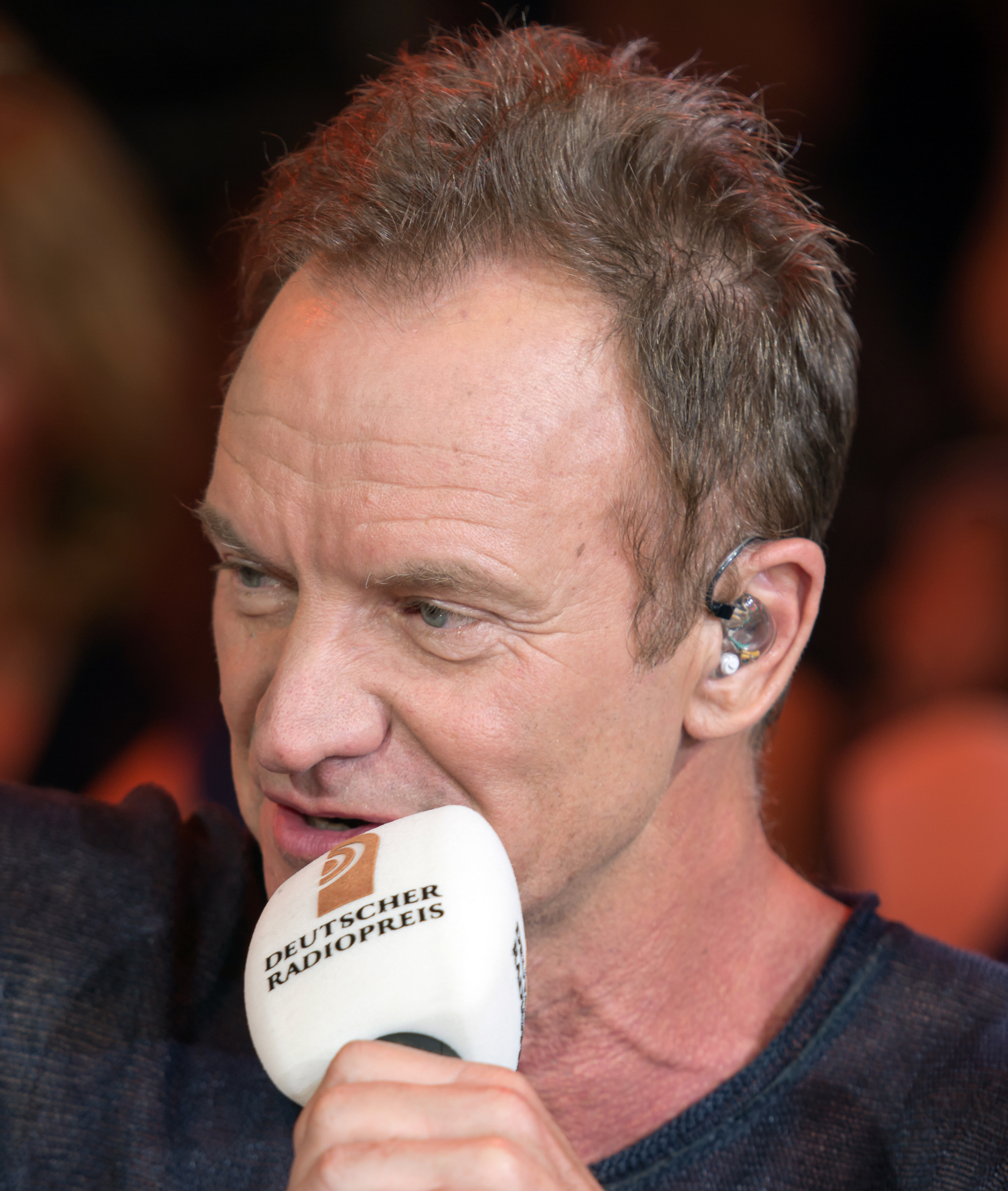 Sting fénykép