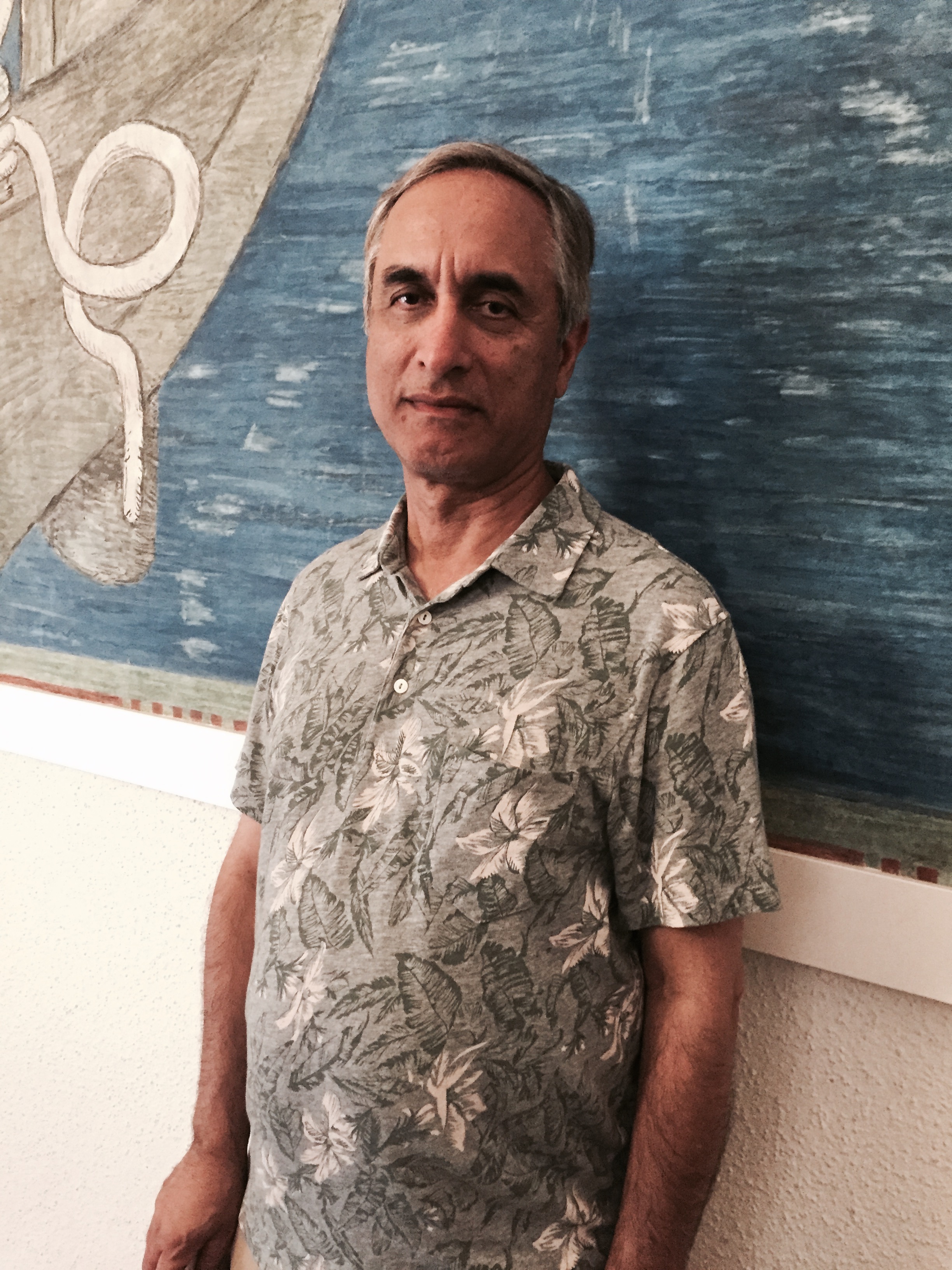 Subhash Kak fénykép