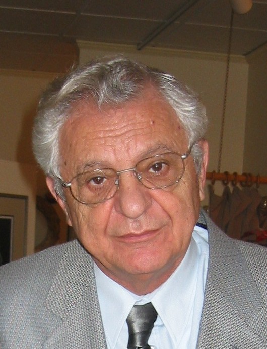 Svetozar Stojanović Fotografia