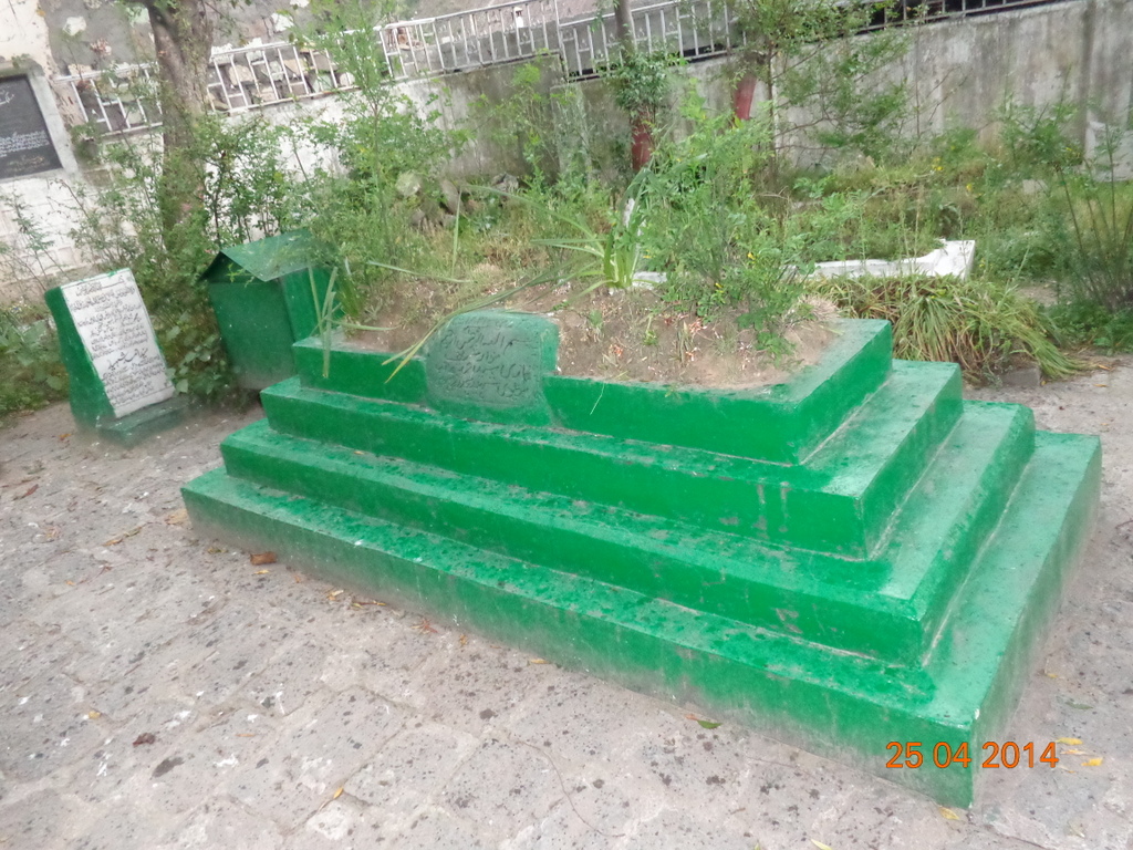Syed Ahmad Barelvi photo