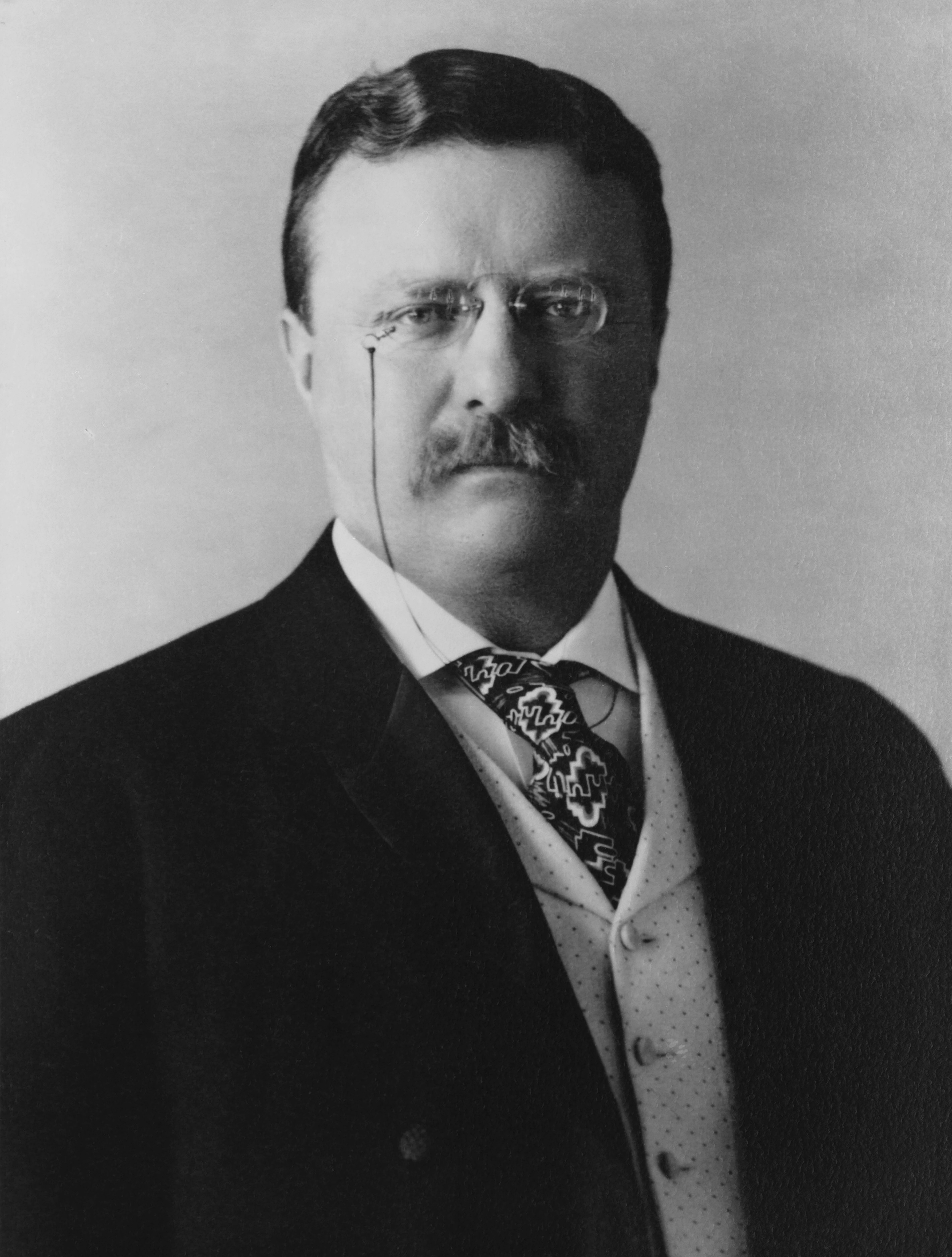Theodore Roosevelt Id zet Megtanultam Hogy Mindenki A Hegytet n Theodore Roosevelt Id zet Megtanultam Hogy Mindenki A Hegytet n