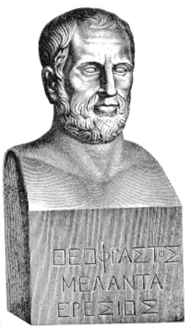 Théophraste photo