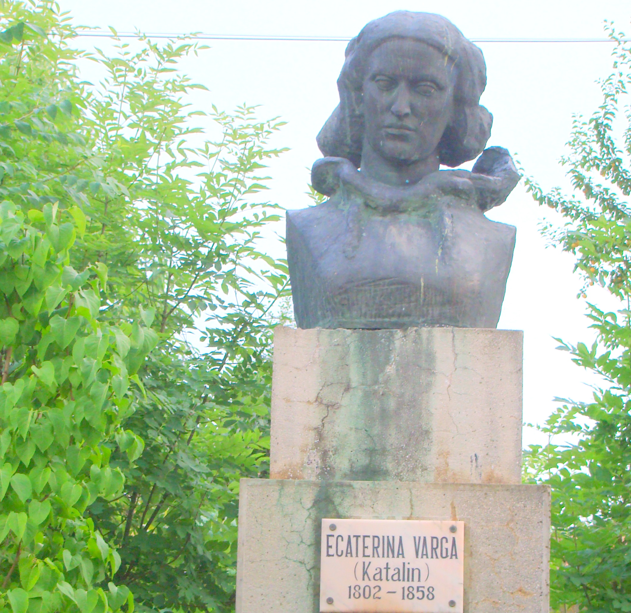 Varga Katalin fénykép