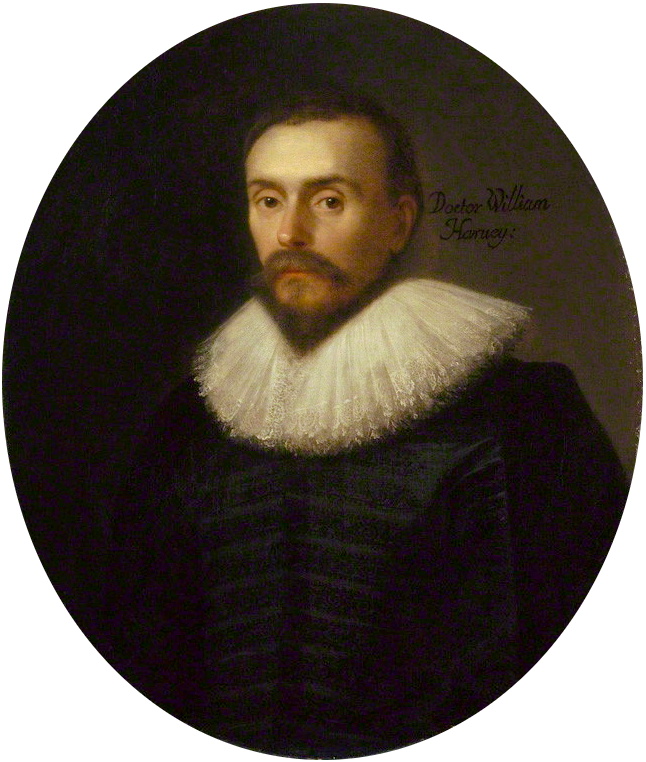 William Harvey fénykép