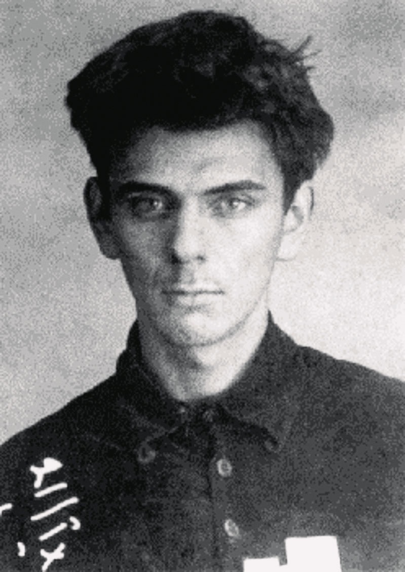 Yury Dombrovsky photo