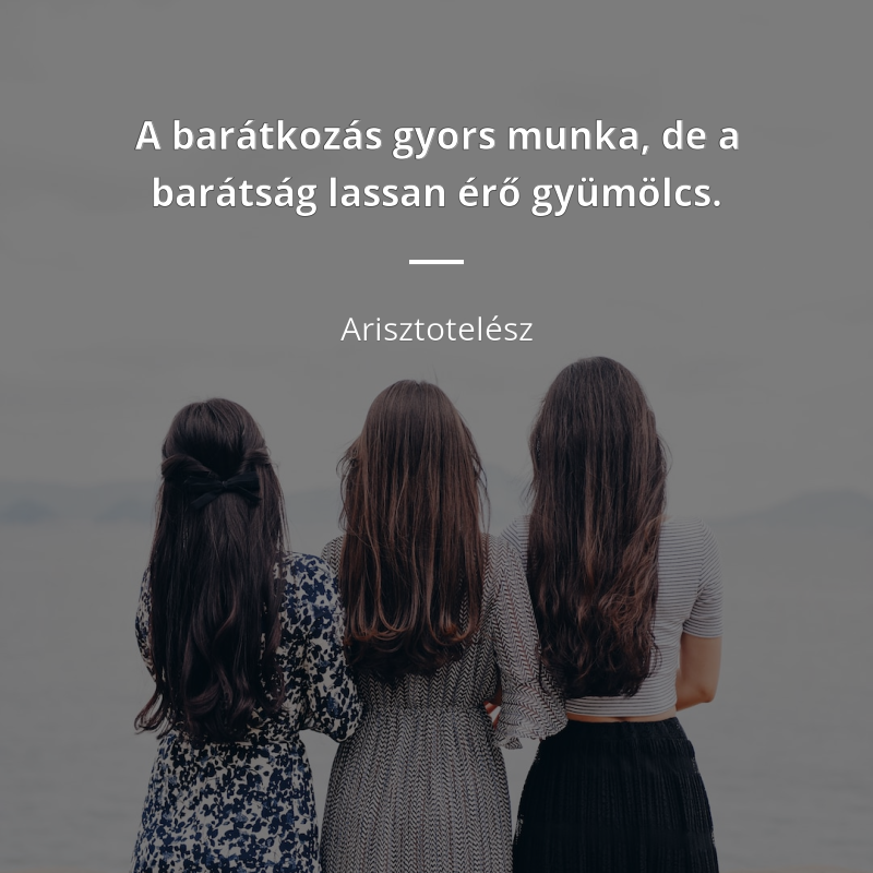 Arisztotelész idézet: „A barátkozás gyors munka, de a barátság lassan érő gyümölcs.”