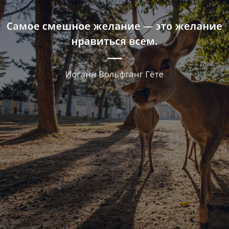 Иоганн Вольфганг Гёте quote: „Самое смешное желание — это желание нравиться всем.“