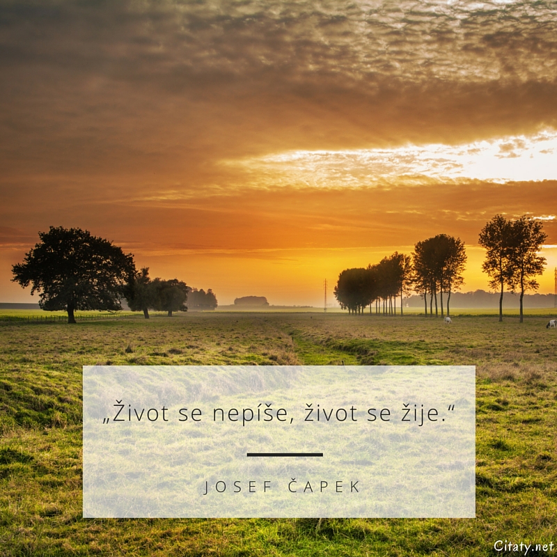 Josef Čapek quote: „Život se nepíše, život se žije.“