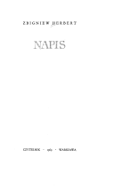 Napis