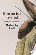 Dinosaur in a Haystack