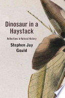 Dinosaur in a Haystack