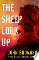 The Sheep Look Up