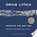 Catching the Big Fish