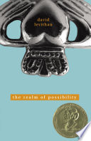 The Realm of Possibility