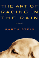 The Art of Racing in the Rain
